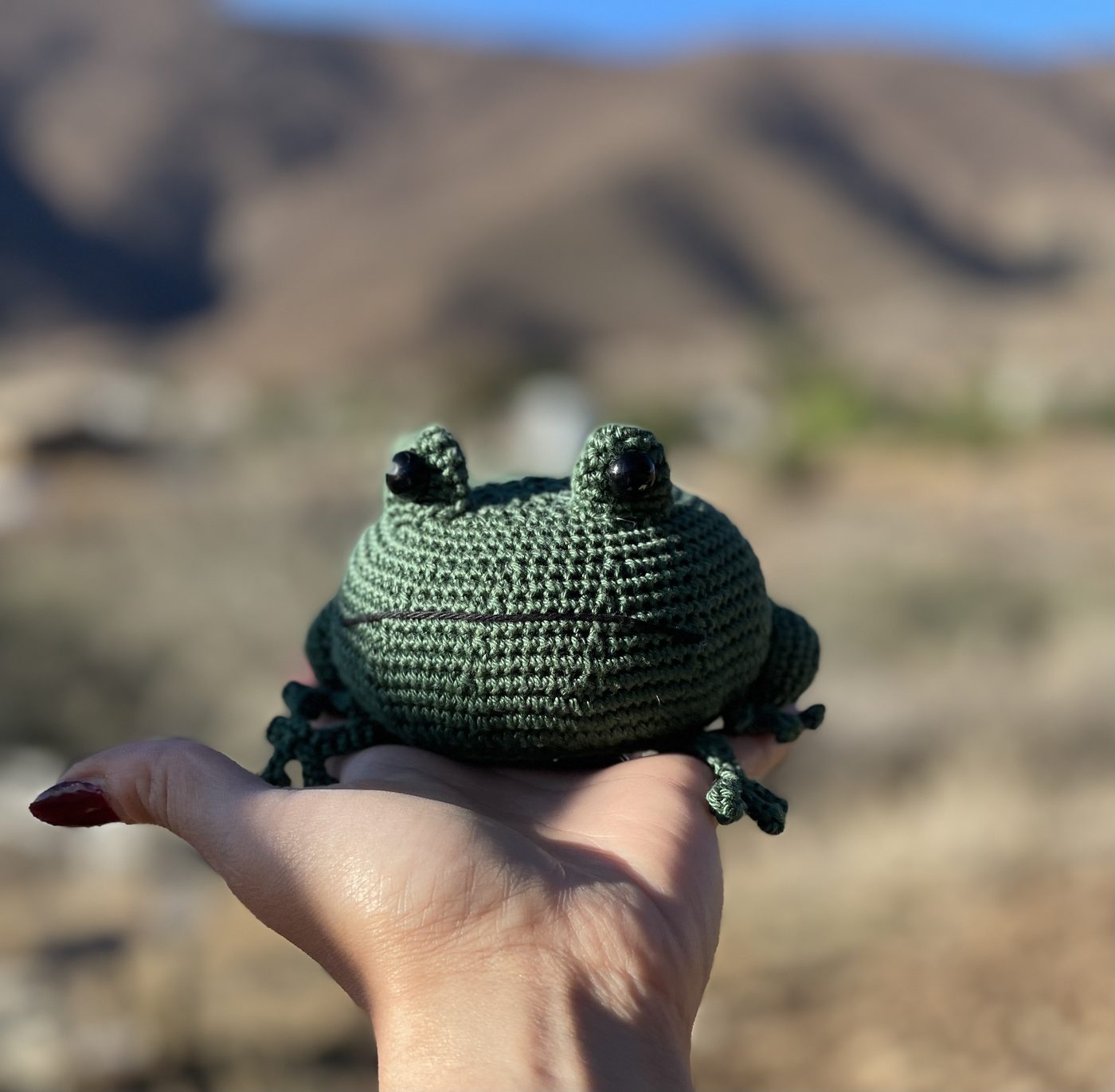 Bufo the Toad crochet amigurumi, photo 3