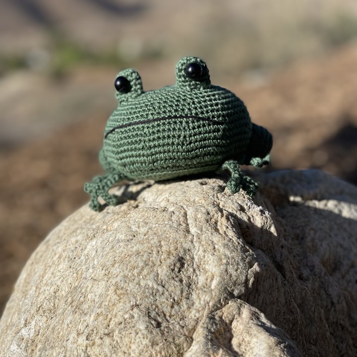 Bufo the Toad crochet pattern, finished amigurumi